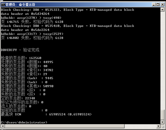 Oracle数据库文件坏块损坏的恢复方法